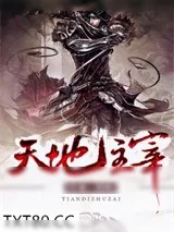 《天地主宰》小说封面
