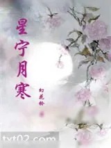 《星宁月寒》小说封面