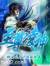 《至尊凌神》小说封面
