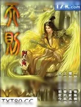 《龙战星野》小说封面