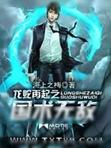《龙蛇再起之国术无敌》小说封面