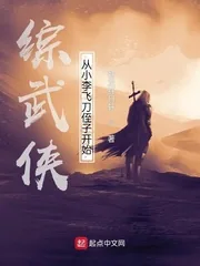 《综武侠：从小李飞刀侄子开始》小说封面