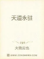 《天道永驻》小说封面