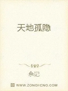 《天地孤隐》小说封面