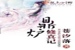 《鼎炉修真记》小说封面