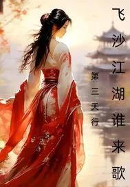 《飞沙江湖谁来歌》小说封面