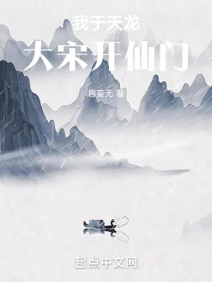 《我于天龙大宋开仙门》小说封面