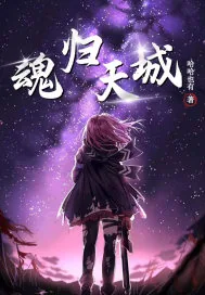 《魂归天城》小说封面