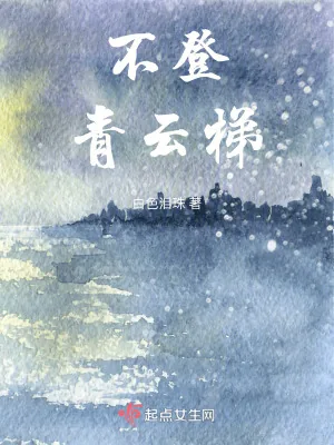 《不登青云梯》小说封面