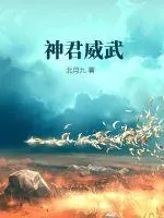 《神君威武》小说封面