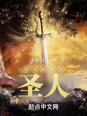 《我用献祭成圣人》小说封面