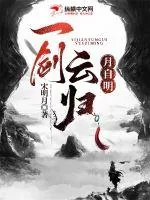 《一剑云归月自明》小说封面