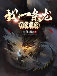 《我，一条龙，真的假的》小说封面