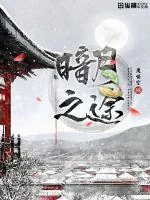 《暗月之途》小说封面