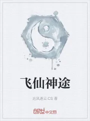 《飞仙神途》小说封面