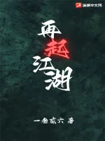 《再起江湖》小说封面