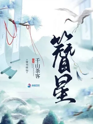 《簪星》小说封面