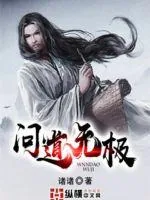 《问道无极》小说封面