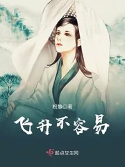 《飞升不容易》小说封面