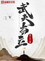 《武夫当立》小说封面
