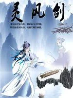 《灵风剑》小说封面