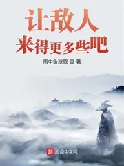 《让敌人来得更多些吧》小说封面