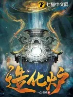 《造化炉》小说封面