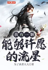 《我有一颗能够许愿的流星》小说封面