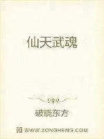 《仙天武魂》小说封面