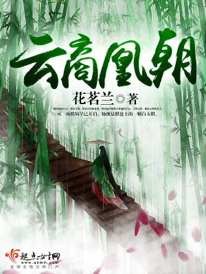 《云商凰朝》小说封面