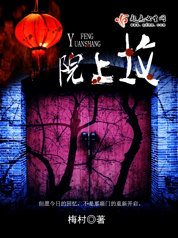《院上坟》小说封面