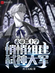 《去帝都上学，悄悄组建弑神大军》小说封面