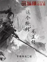 《这个枪修不正经》小说封面