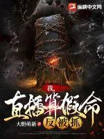 《我，直播算假命反被抓！》小说封面