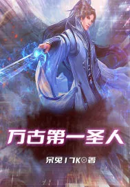 《万古第一圣人》小说封面
