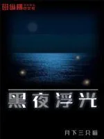 《黑夜浮光》小说封面