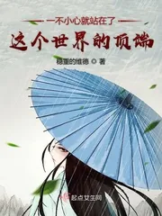 《一不小心就站在了这个世界的顶端》小说封面