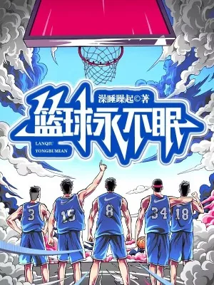《篮球永不眠》小说封面