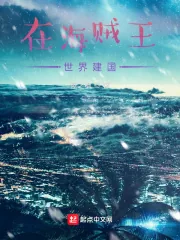 《在海贼王世界建国》小说封面