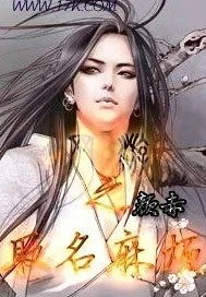 《网游之取名麻烦》小说封面