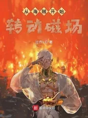 《从海贼开始转动磁场》小说封面