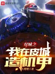 《双城之我在皮城造机甲》小说封面