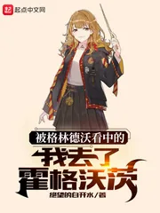 《被格林德沃看中的我去了霍格沃茨》小说封面