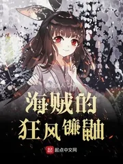 《海贼的狂风镰鼬》小说封面