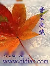 《音尘决绝》小说封面