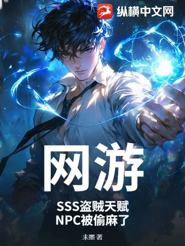 《网游:SSS盗贼天赋,NPC被偷麻了》小说封面