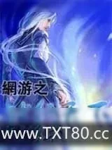 《网游之贼行天下》小说封面
