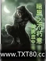 《暗黑之不朽意志》小说封面