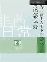 《作为游戏主角不得不说的故事》小说封面