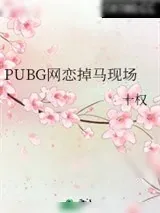 《PUBG网恋掉马现场》小说封面